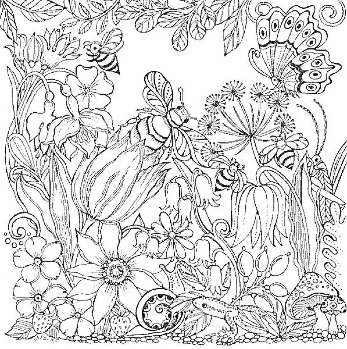 На раскраске изображено: Природа, Антистресс, Цветы, Бабочка, Пчёлы, Листья, Грибы, Насекомое, Лягушки