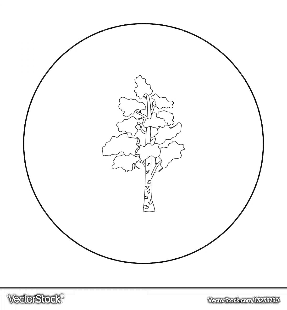 На раскраске изображено: Береза, Символ России, Контур дерева, Природа, Листья, Ствол дерева