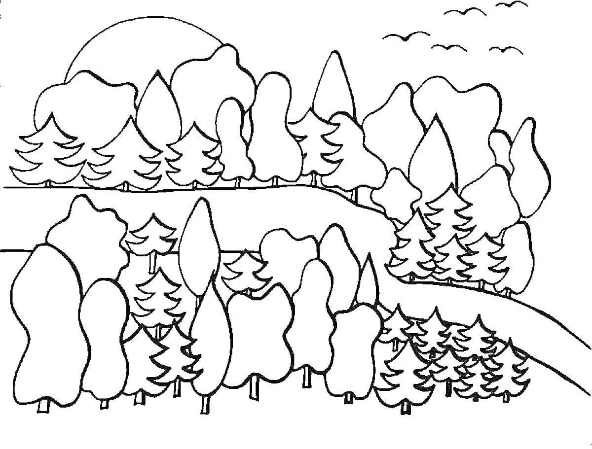 Раскраска Лесной пейзаж с деревьями, солнцем и птицами в небе