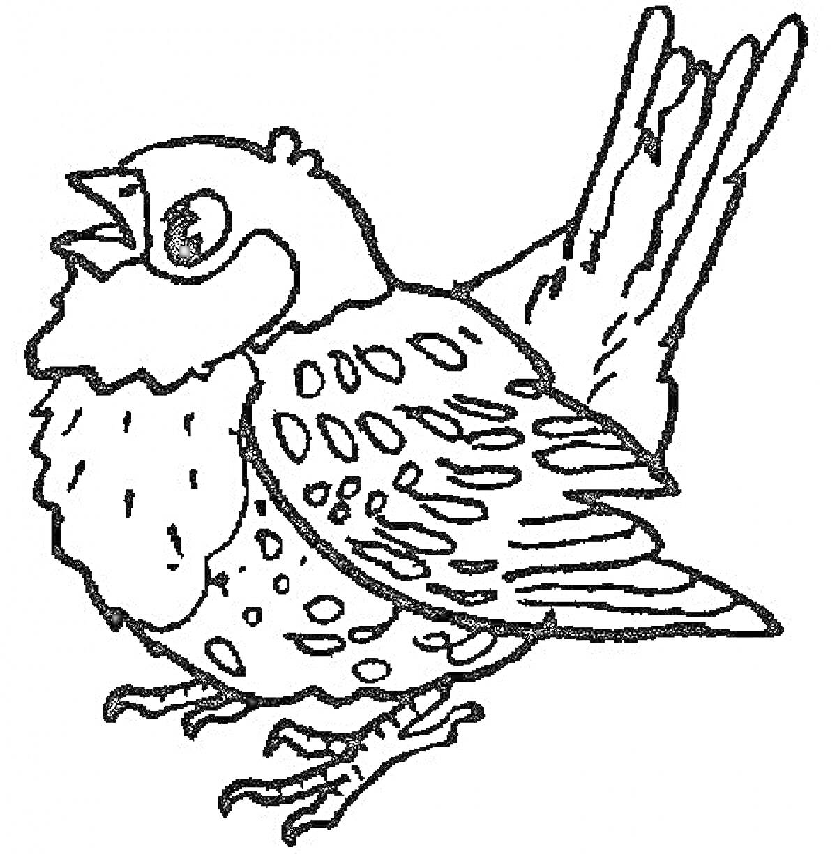 На раскраске изображено: Воробей, Птица, Открытый рот, Перья, Контурные рисунки