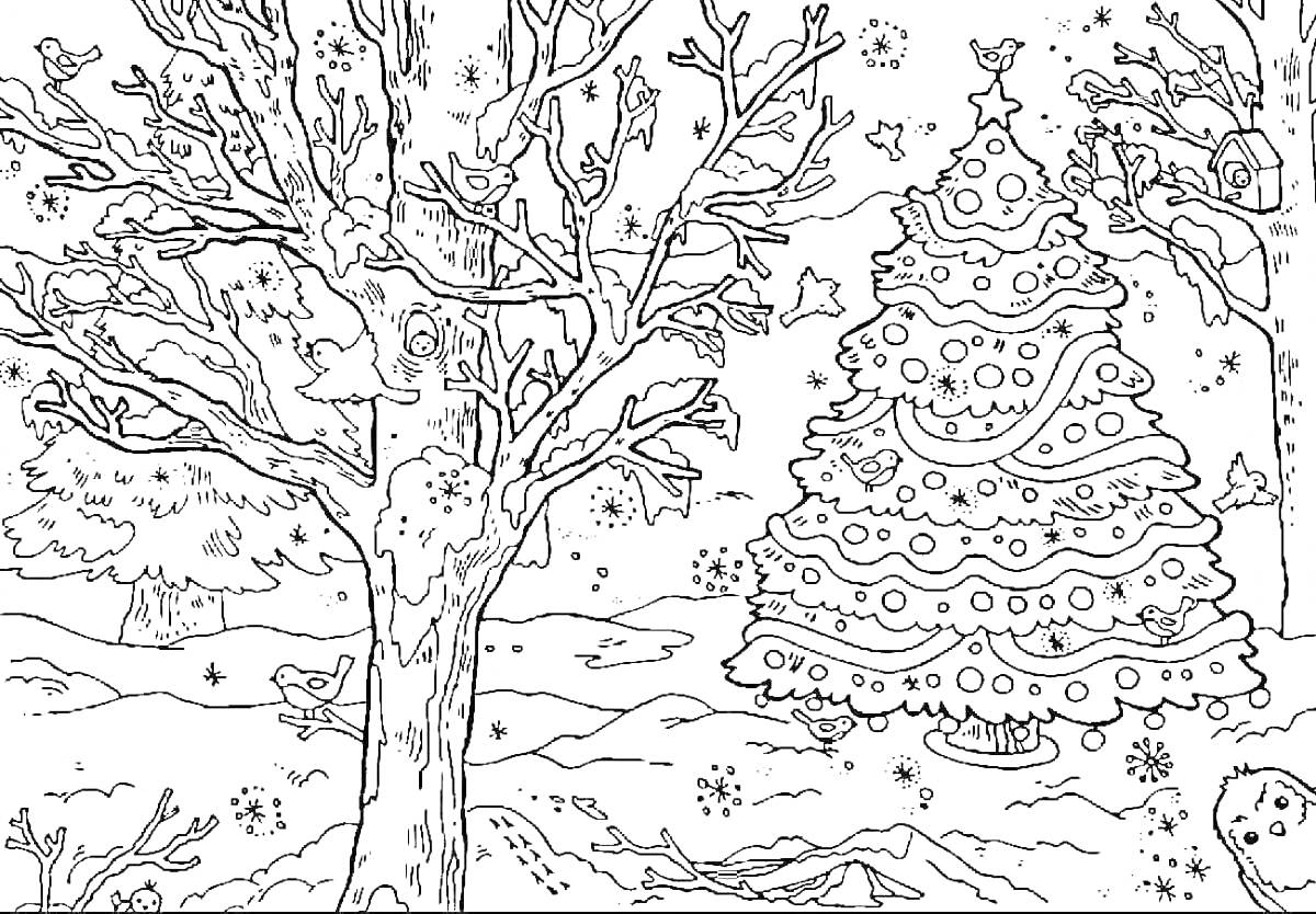 Раскраска Зимний лес с деревьями, украшенной ёлкой, птичками, звездами, домиком на дереве и снегом