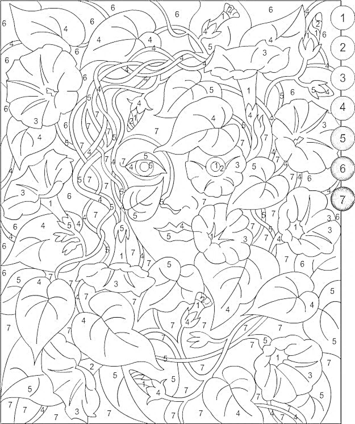На раскраске изображено: Лицо, Листья, Цветы, Виноград, Природа, Декоративное искусство
