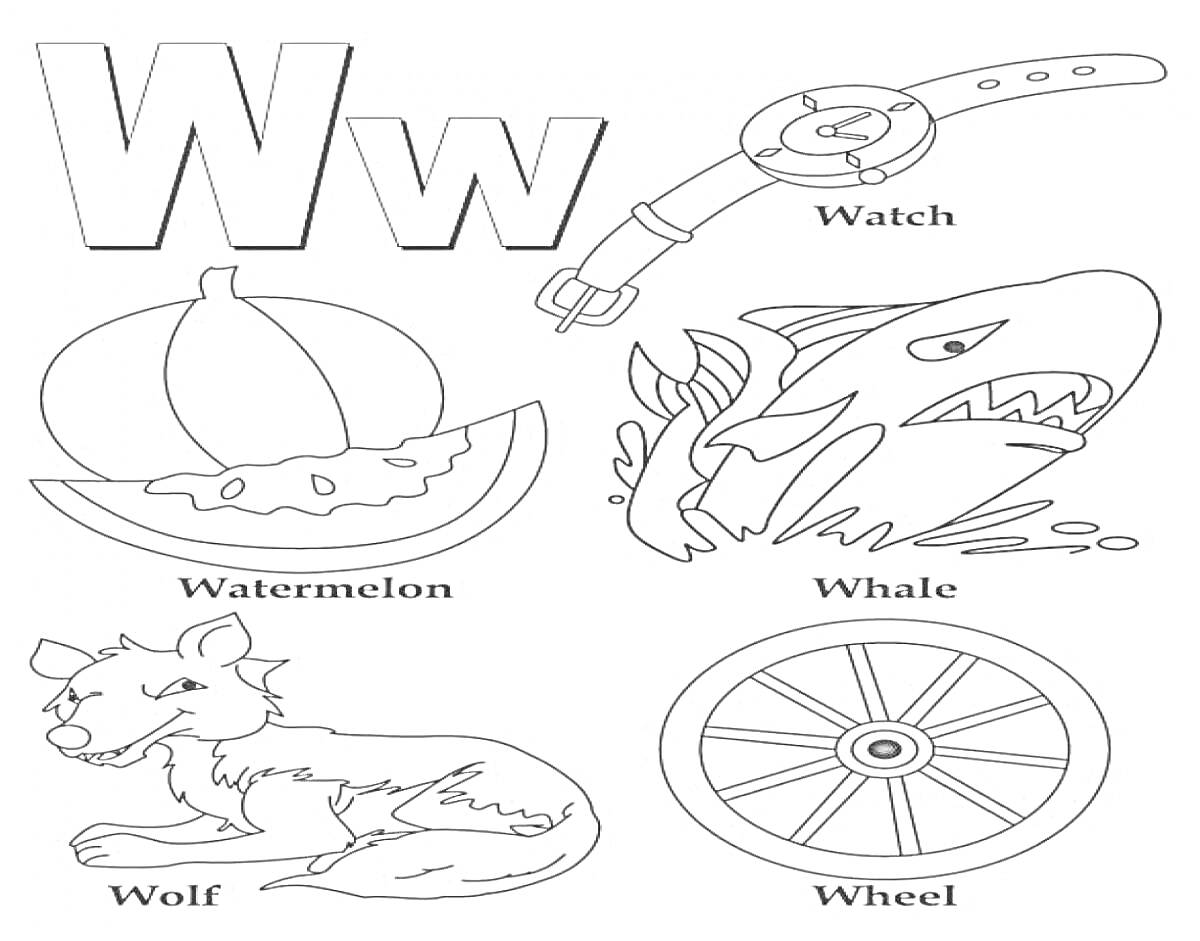 На раскраске изображено: Буква W, Часы, Арбуз, Волк