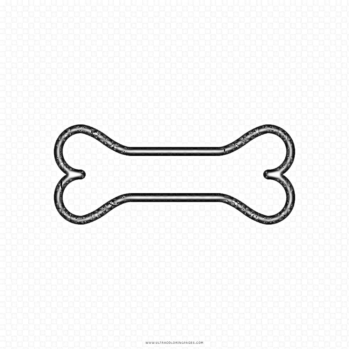 На раскраске изображено: Иллюстрация, Скелет, Анатомия, Собака