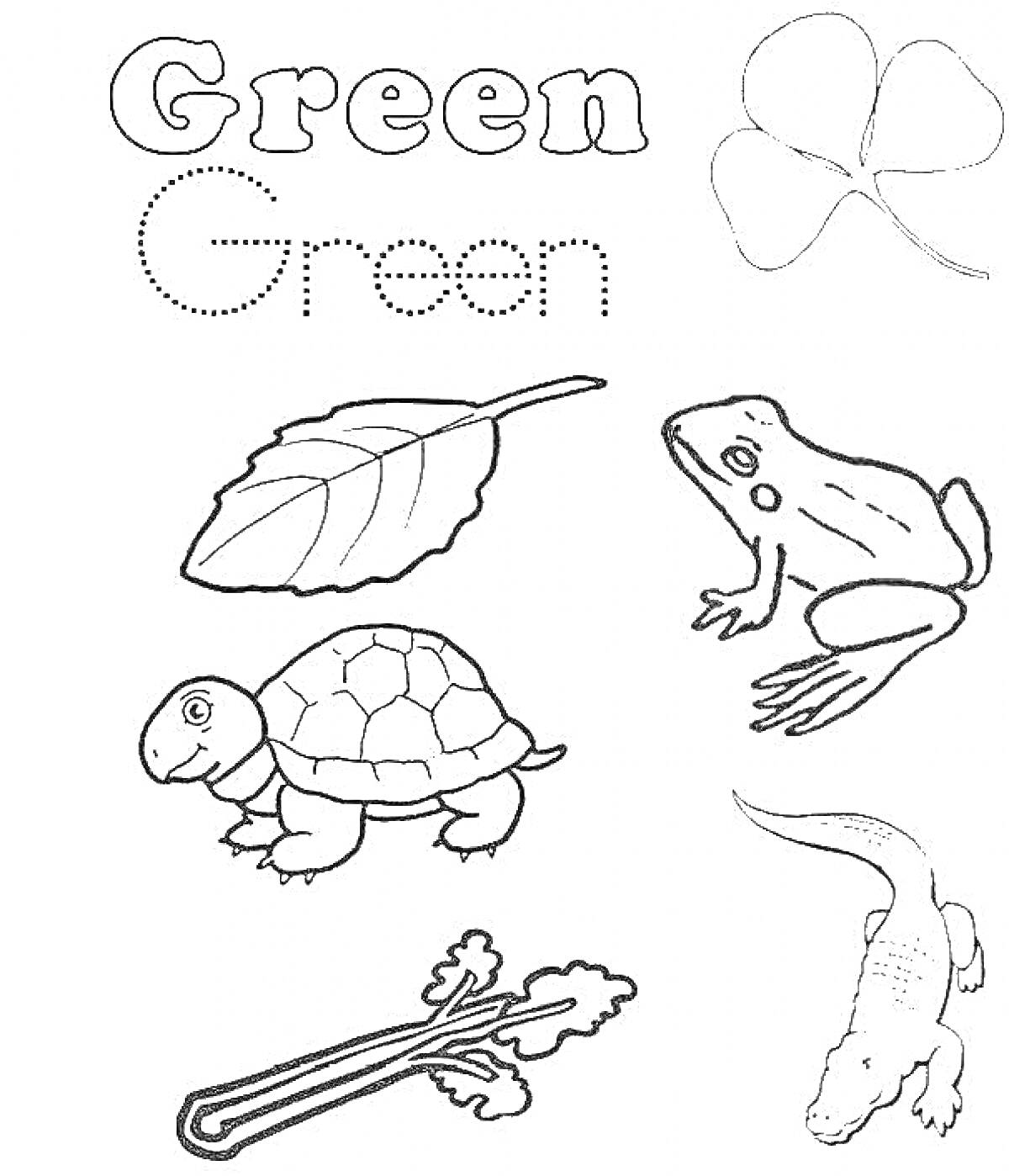 На раскраске изображено: Зеленый, Клевер, Черепаха, Листья, Лягушки