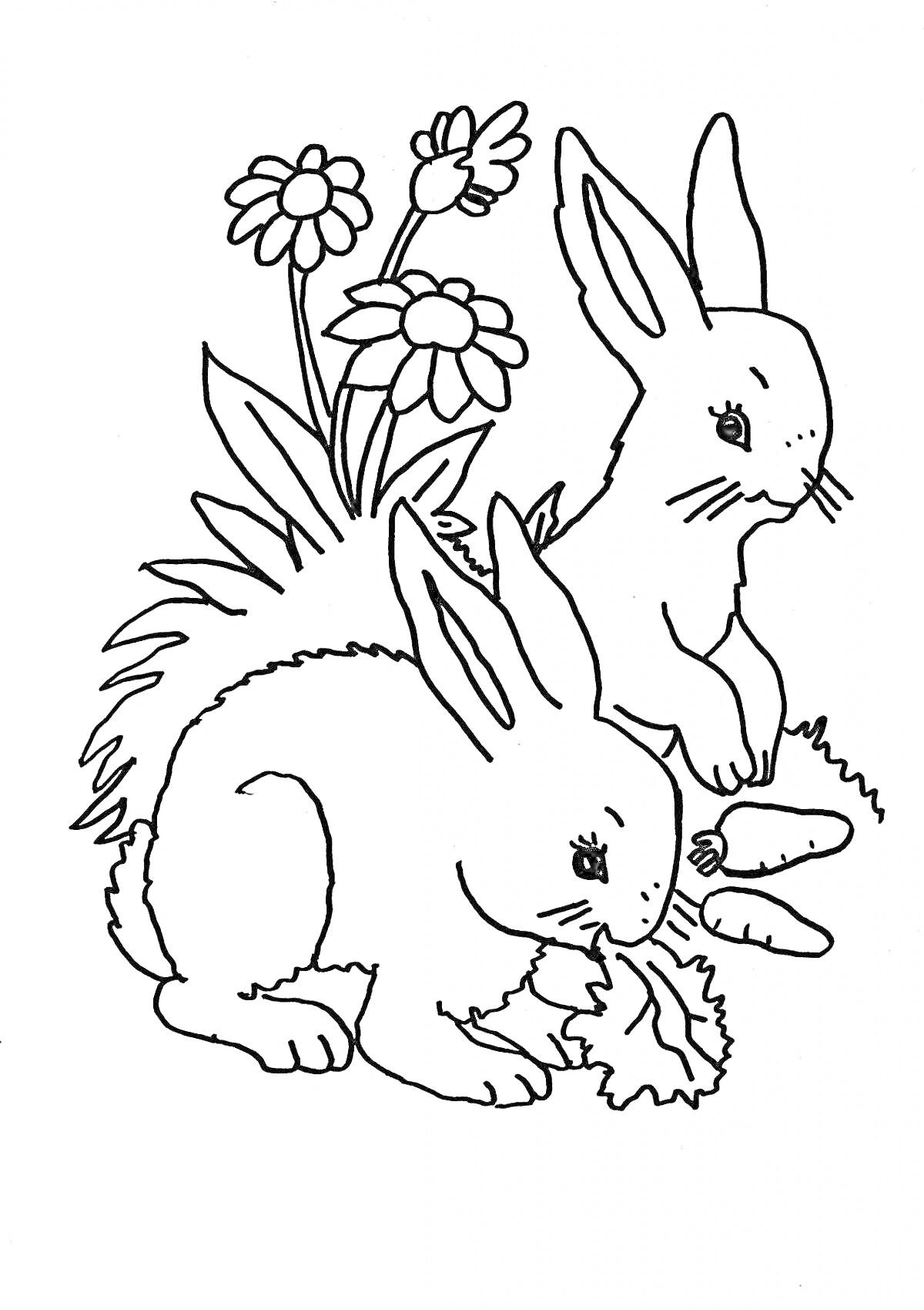 Раскраска Два кролика с цветами и едой