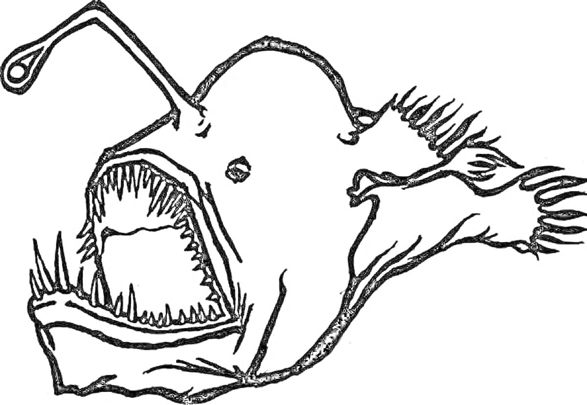 На раскраске изображено: Рыба, Морская жизнь, Зубы, Хищники