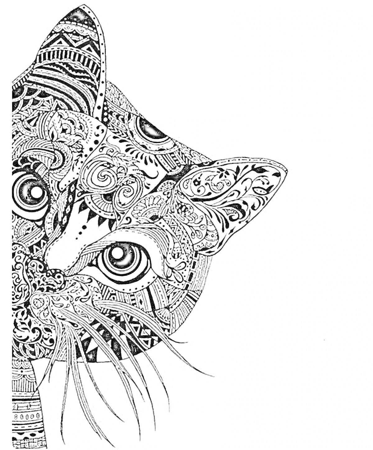 Раскраска Мандала кот, антистресс раскраска с узорами, закрученными линиями и точками