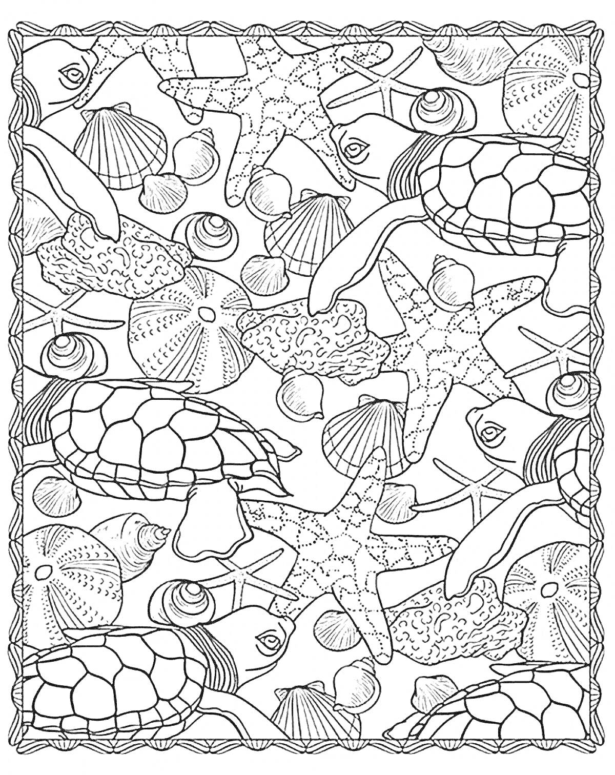 На раскраске изображено: Морские звезды, Кораллы, Морская жизнь, Антистресс, Ракушка, Рыба, Морские животные