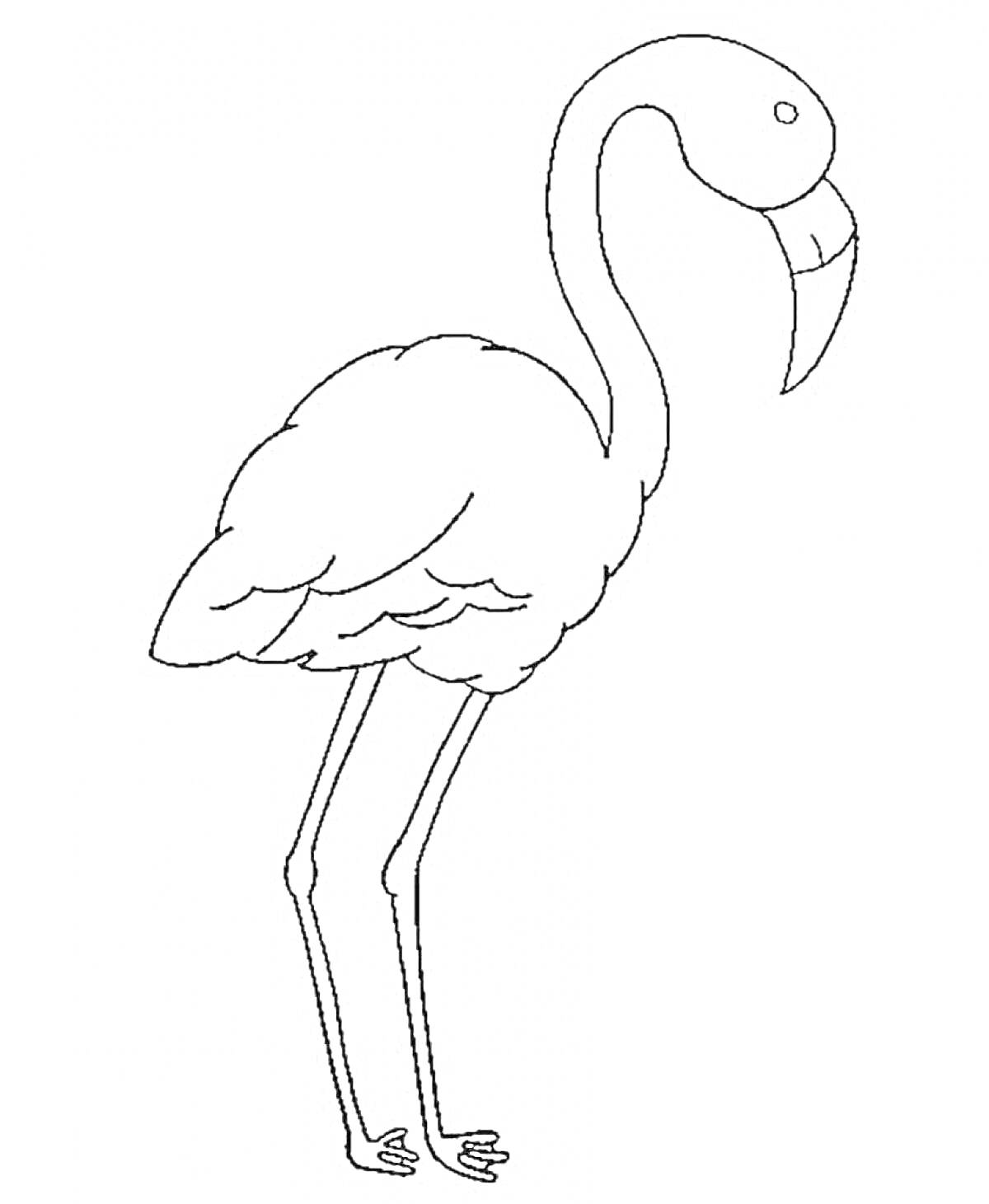 На раскраске изображено: Фламинго, Птица, Животные, Длинные ноги, Крылья