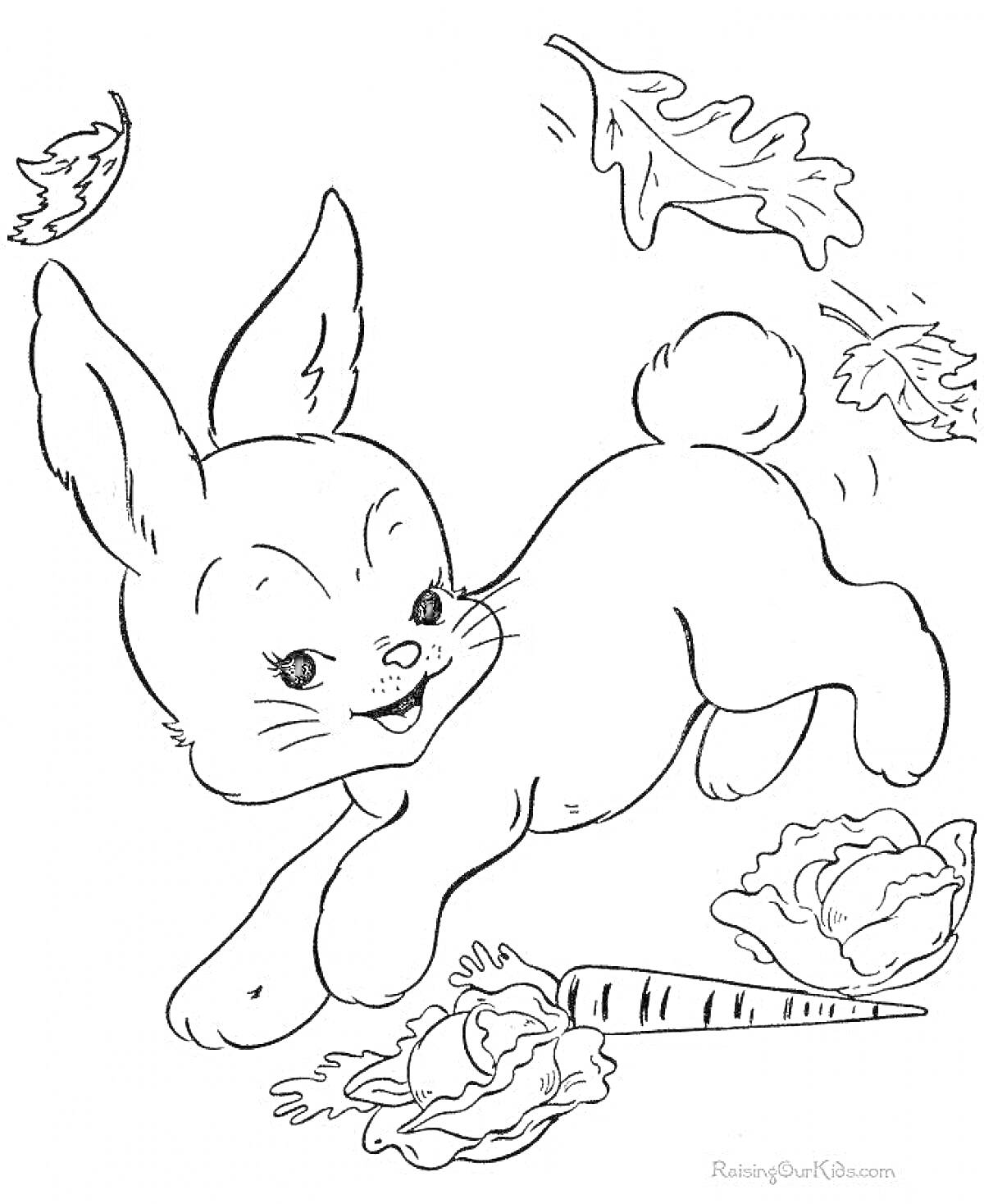 На раскраске изображено: Заяц, Капуста, Морковь, Листья, Животные