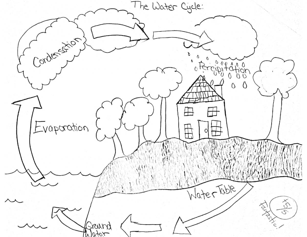 Раскраска Водный цикл с элементами: испарение, конденсация, осадки, подземные воды, водоносный слой, дом, деревья, вода