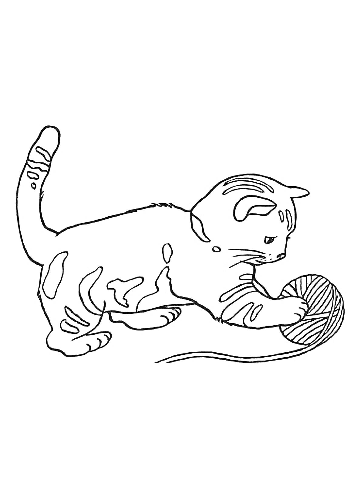 Котёнок играет с клубком ниток