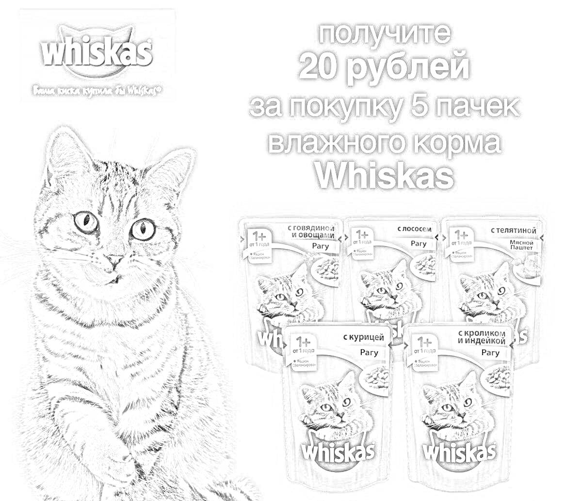 Раскраска Кот и 5 пачек влажного корма Whiskas с уведомлением о скидке 20 рублей