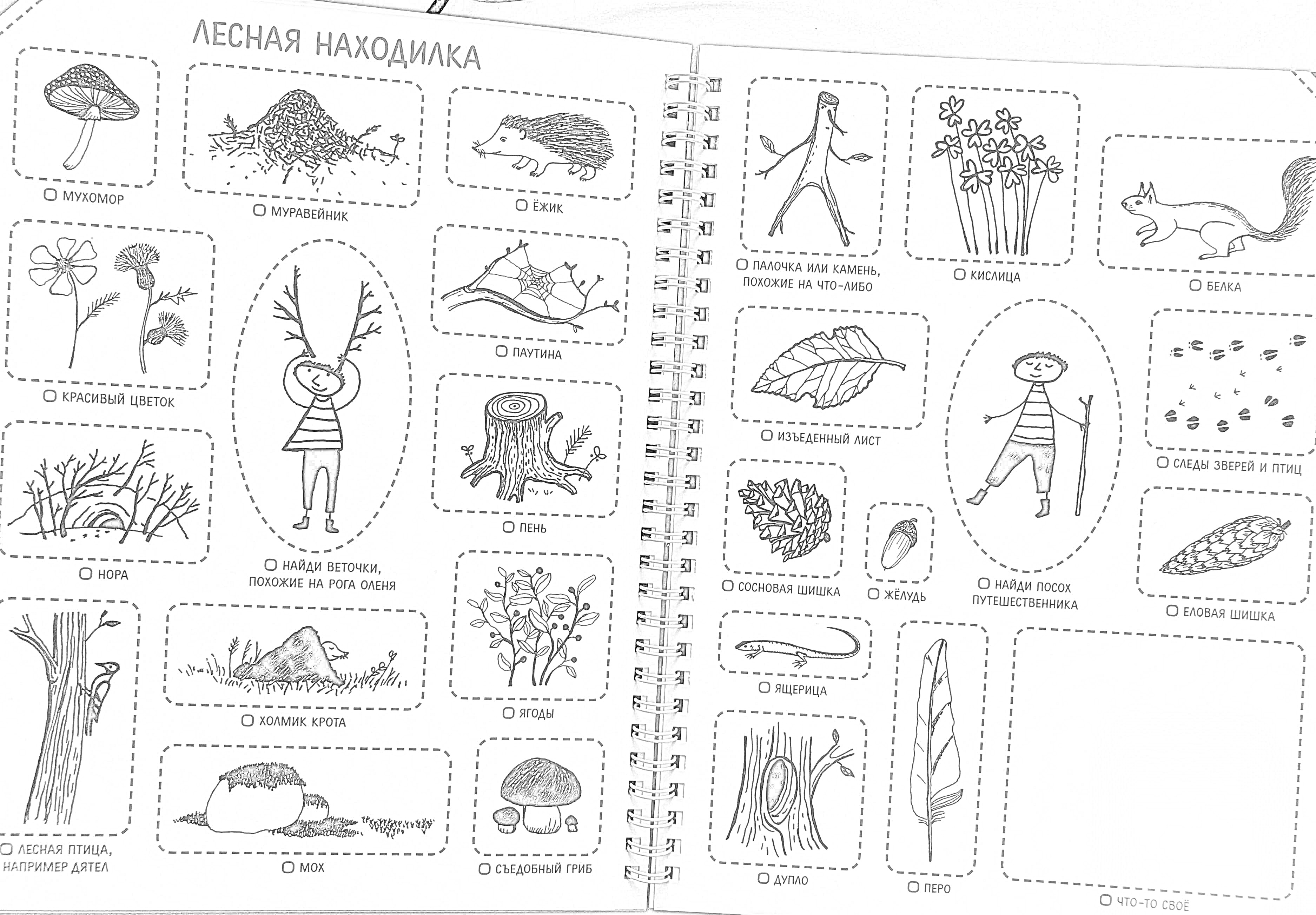 Раскраска Лесная находилка. Скумпия, конус, грибы, паук, жук-олень, белка, муравейник, земляной холм, цветок, ветка, шишка, береста, листья, скамейка, веревка, дерево.