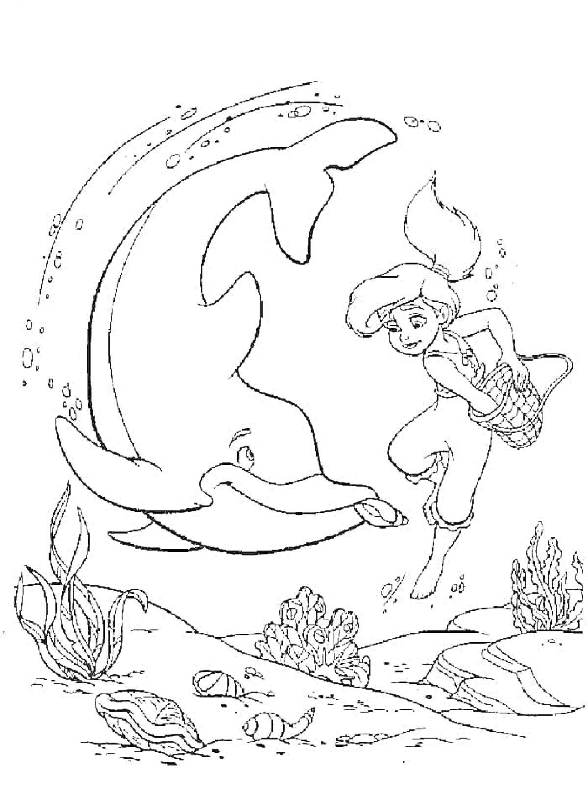Раскраска Мелоди и дельфин под водой с рыбами и водорослями