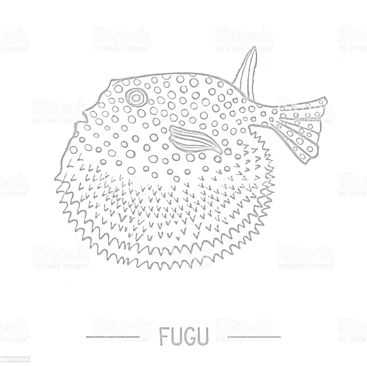 Раскраска Раздутый рыба фугу с крапинками и плавниками