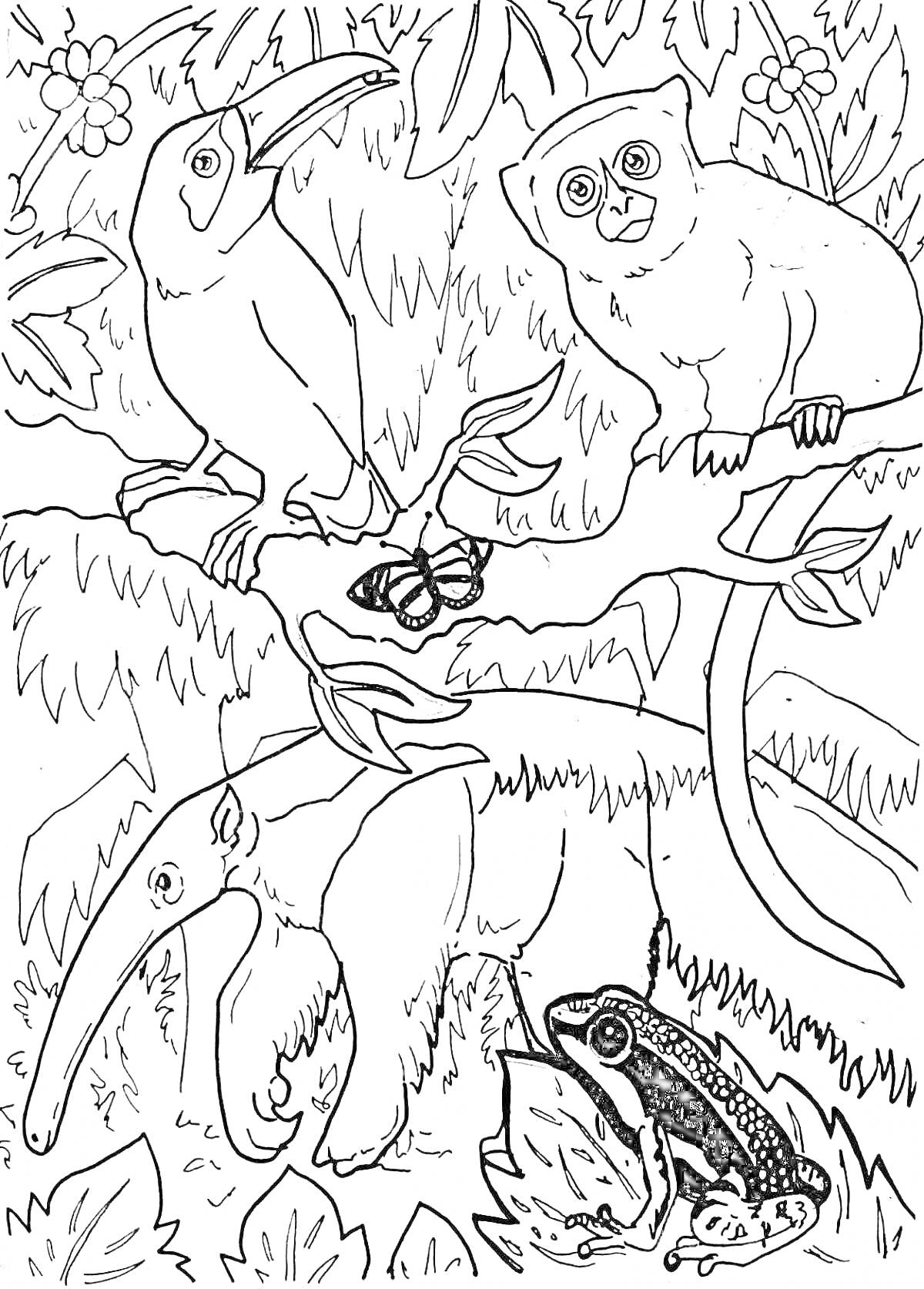 На раскраске изображено: Тропический лес, Животные, Тукан, Примат, Бабочка, Муравьед, Природа