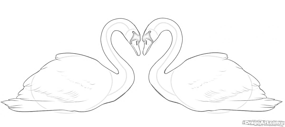 На раскраске изображено: Лебедь, Любовь, Природа
