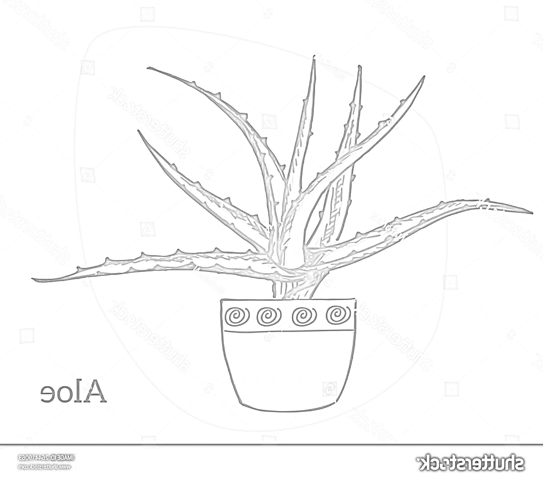 Раскраска Алоэ в горшке на фоне розового пятна