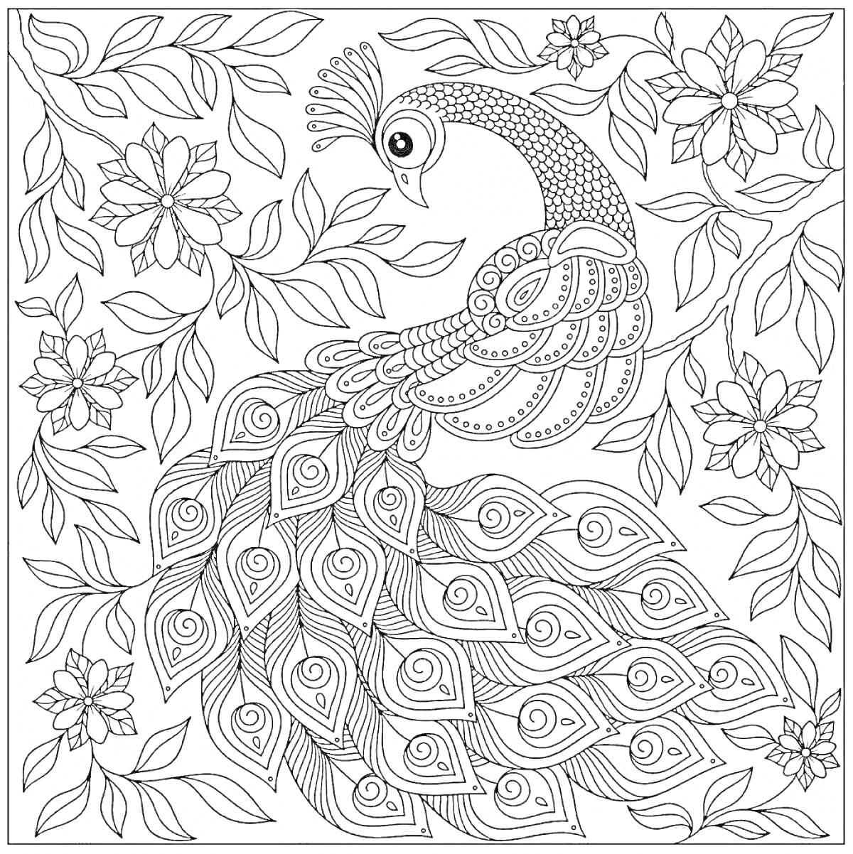 На раскраске изображено: Птица, Хвост, Перья, Цветы, Листья, Узоры
