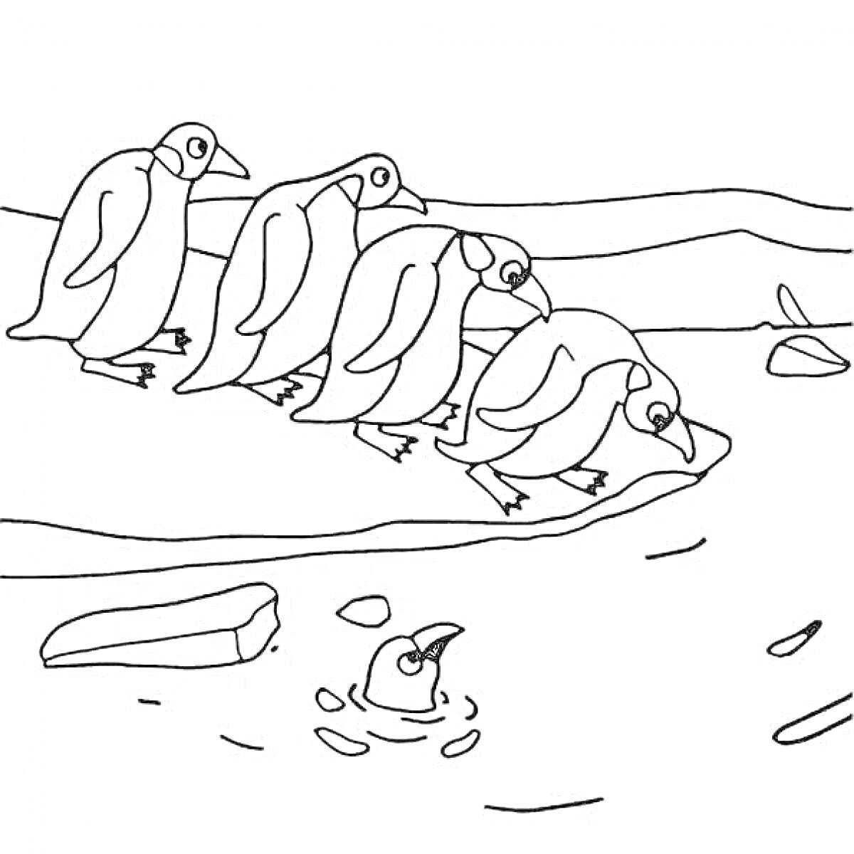 Пингвины у берега с одним плавающим в воде