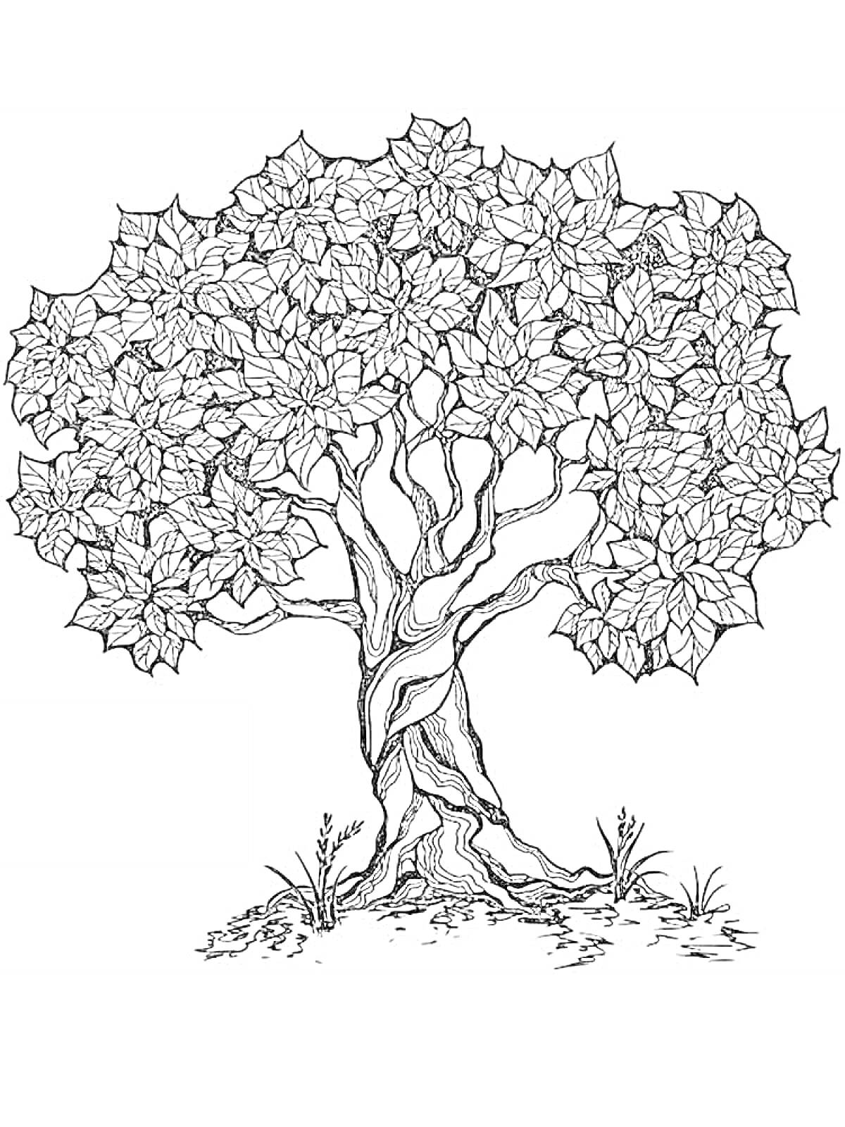 Антистресс раскраска с детализированным деревом, включающим переплетенные ветви, листву и траву у корней