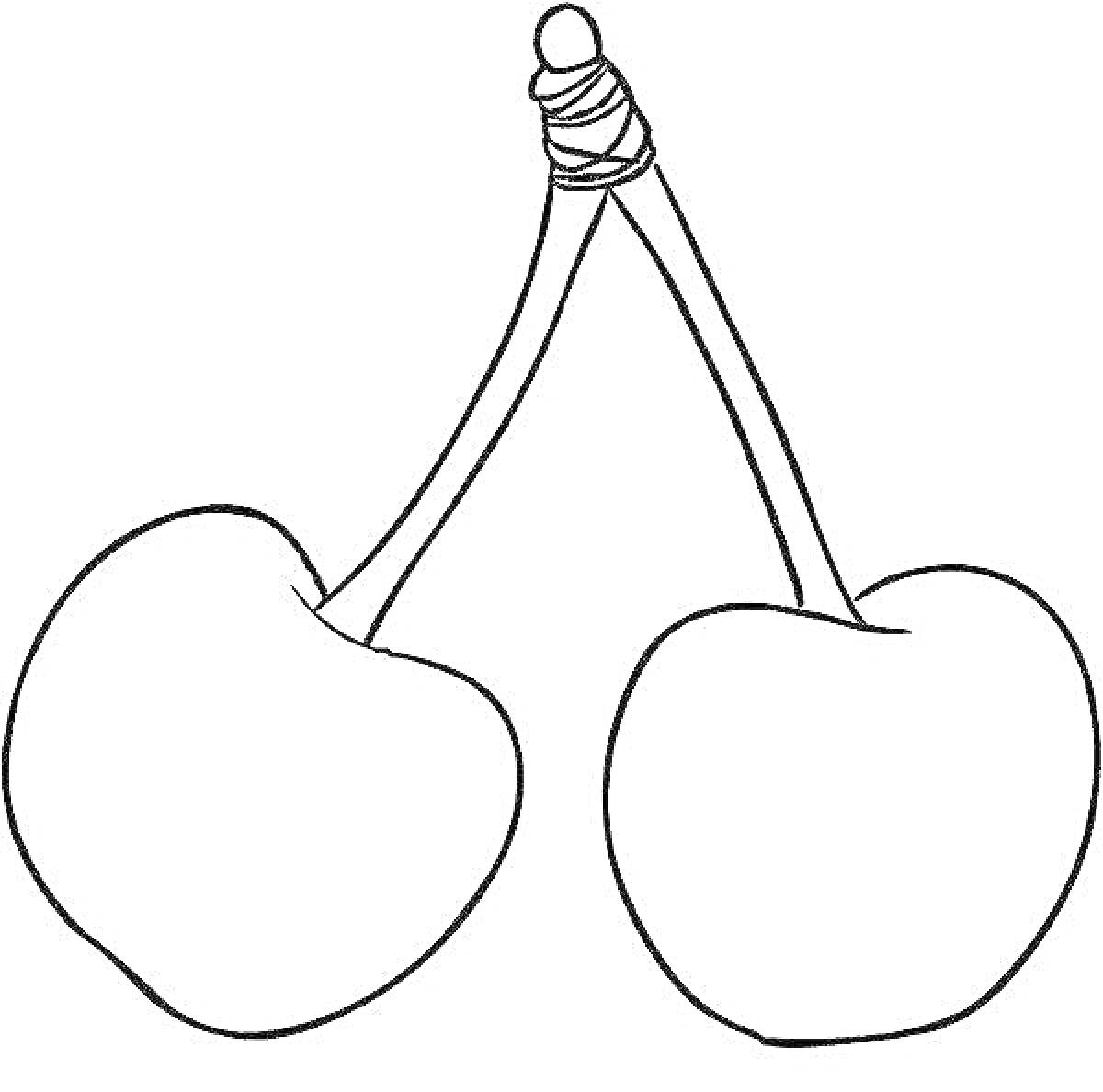 На раскраске изображено: Вишня, Фрукты, Для детей, Ветка