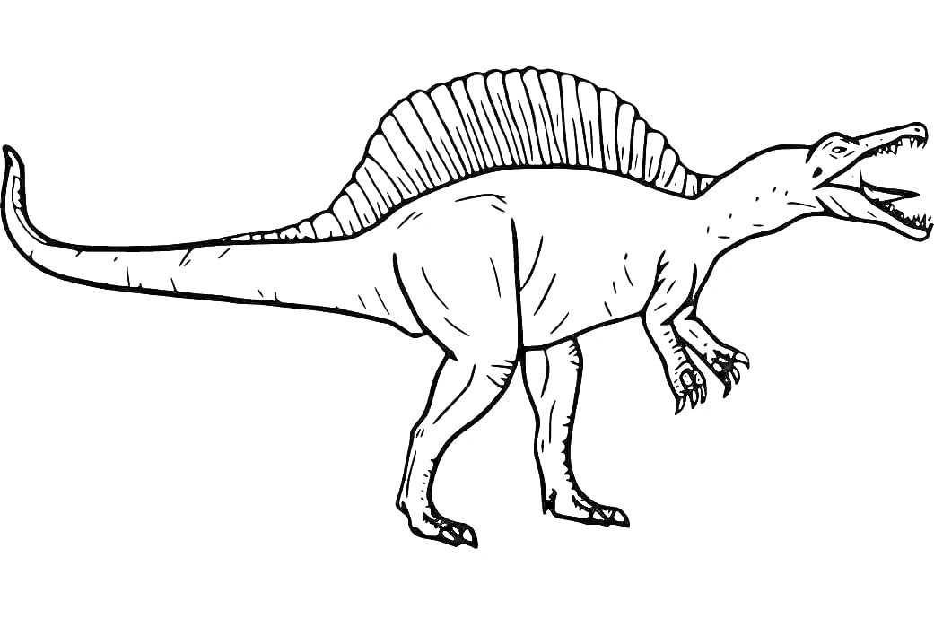 Раскраска Спинозавр с открытым ртом и видимыми зубами