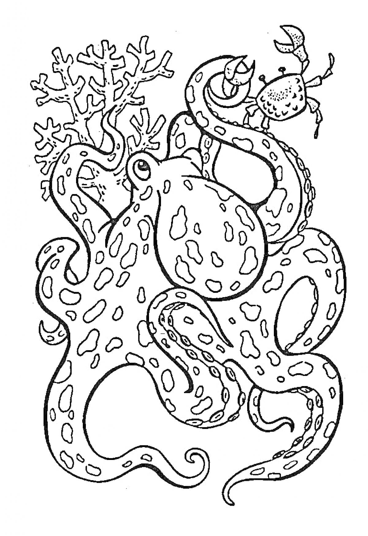 Раскраска Осьминог, краб и кораллы