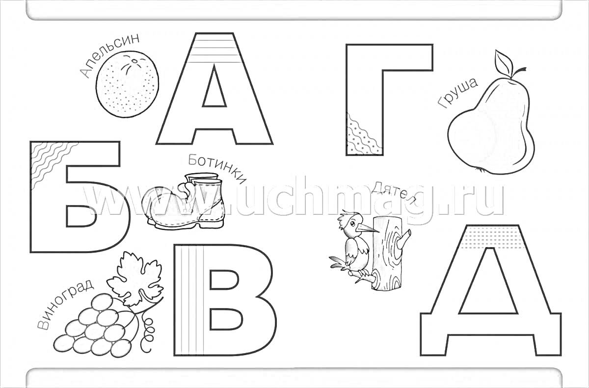 На раскраске изображено: Букварь, Алфавит, Арбуз, Апельсин, Ботинки, Виноград, Сова