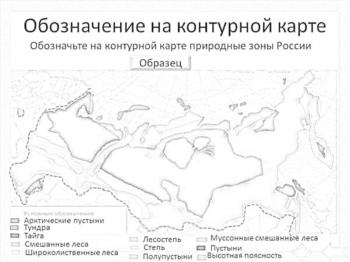 Раскраска Обозначение на контурной карте природные зоны России. Арктические пустыни, Тундра, Тайга, Смешанные леса, Широколиственные леса, Лесостепь, Степь, Полупустыни, Пустыни, Муссонные смешанные леса, Высотная поясность.