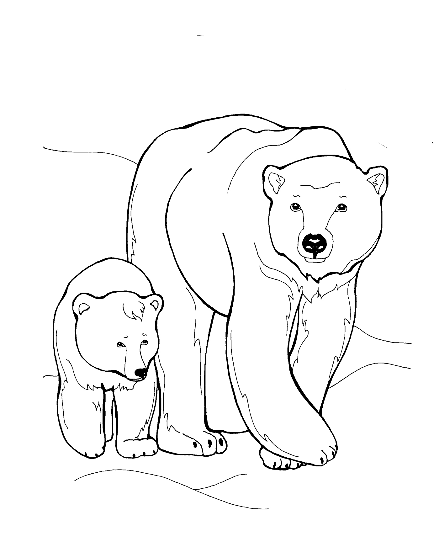 На раскраске изображено: Белый медведь, Детеныши, Природа, Снежный пейзаж, Арктика, Животные, Медведь