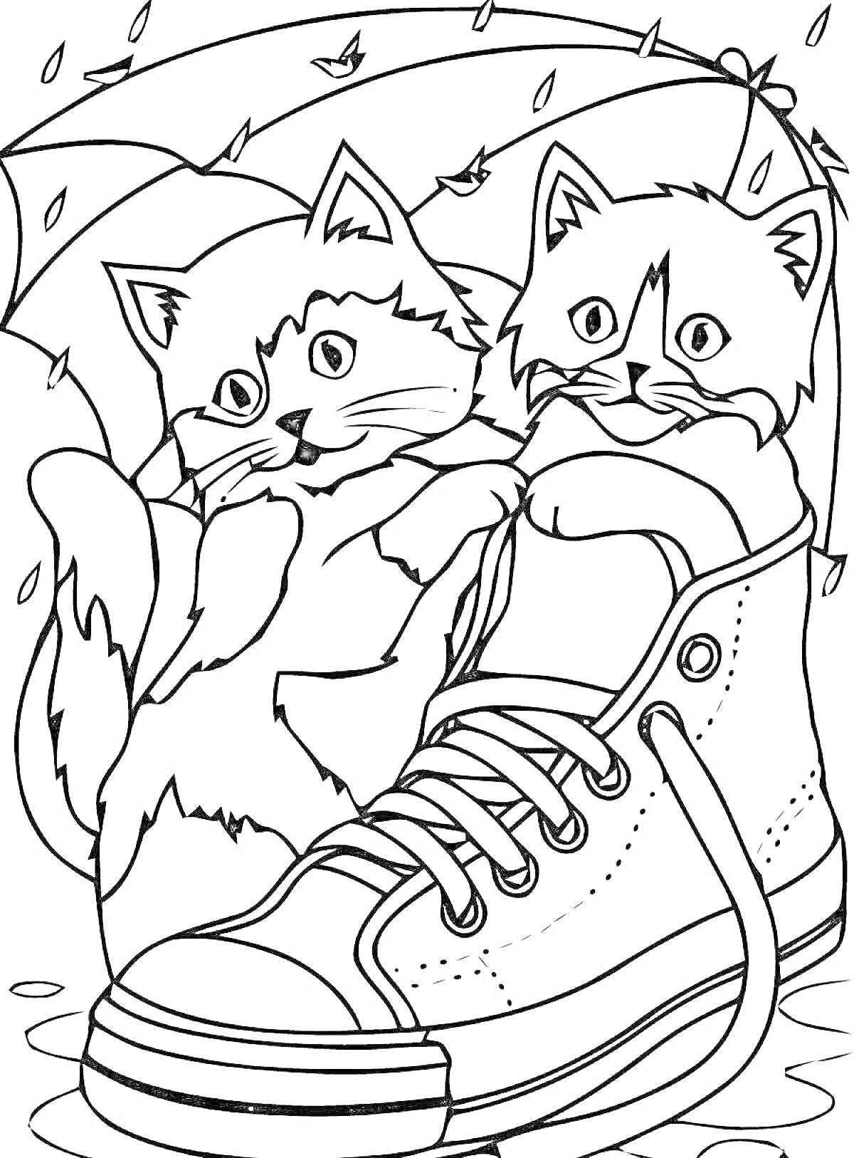 На раскраске изображено: Обувь, Зонт, Дождь, 6-7 лет, Кеды, Для детей, Животные, Кот