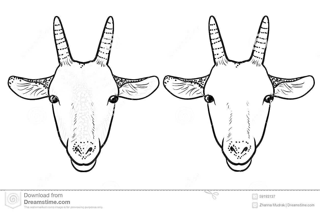 Раскраска Маска козы с цветным и контурным изображением козы с рогами