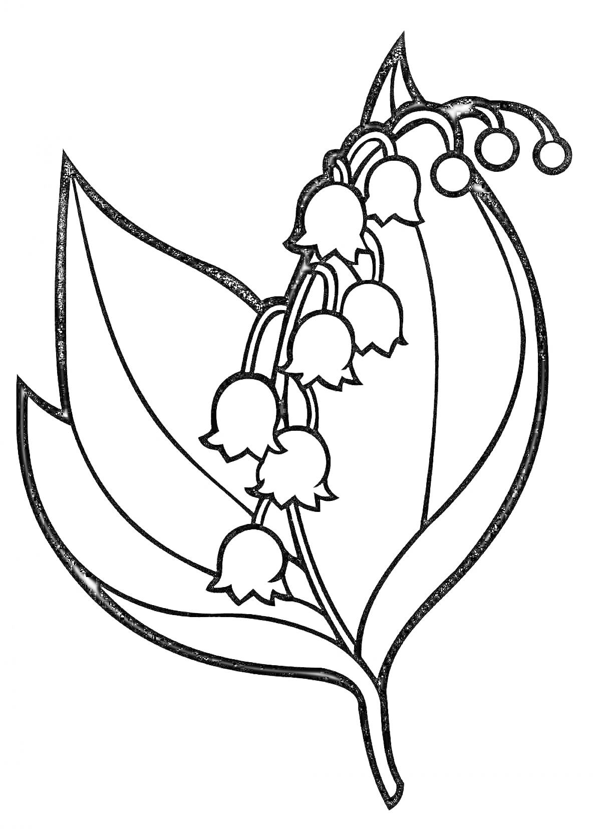 Раскраска Ландыш с цветами и листьями