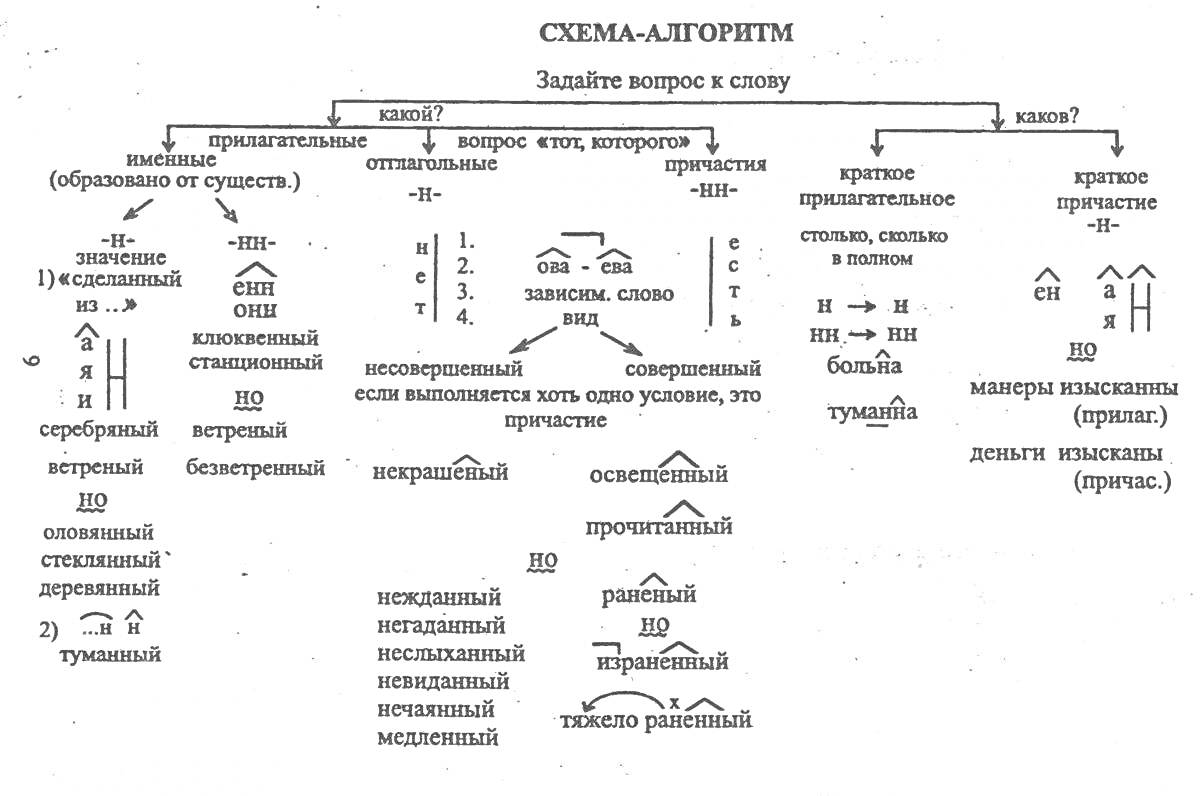 На раскраске изображено: НН, Схема, Алгоритм, Слова, Части речи, Прилагательные, Причастия, Приставки, Исключения, Существительные