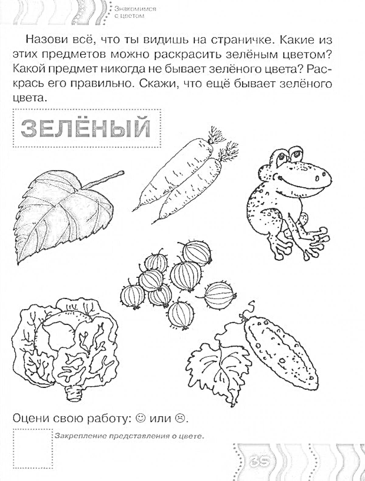 Раскраска Лист, морковь, лягушка, крыжовник, капуста, огурец