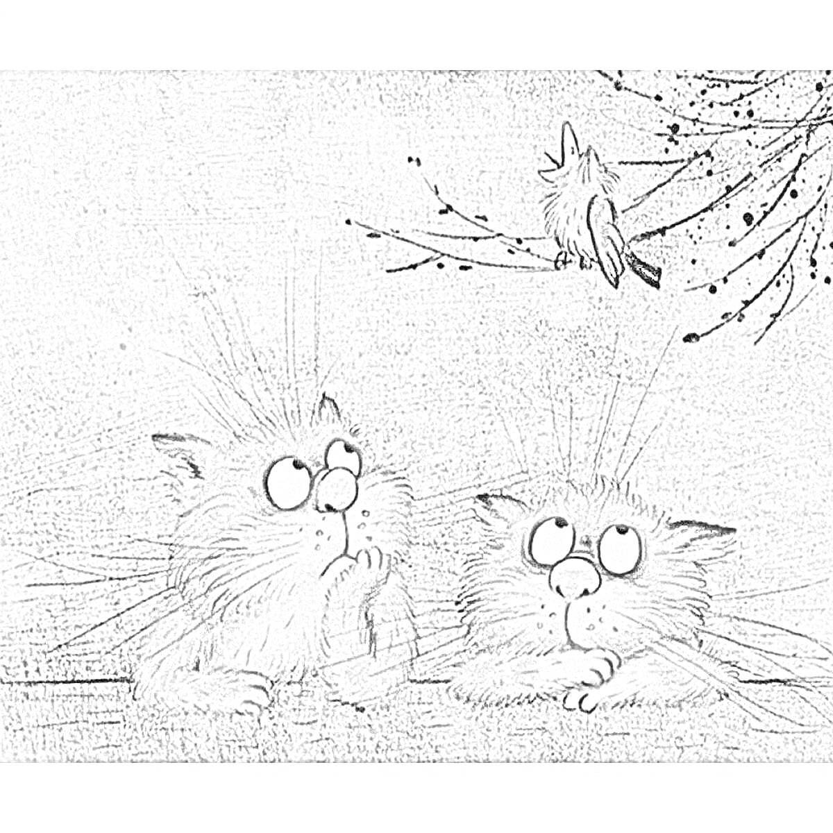Раскраска Два кота смотрят на птицу на ветке.