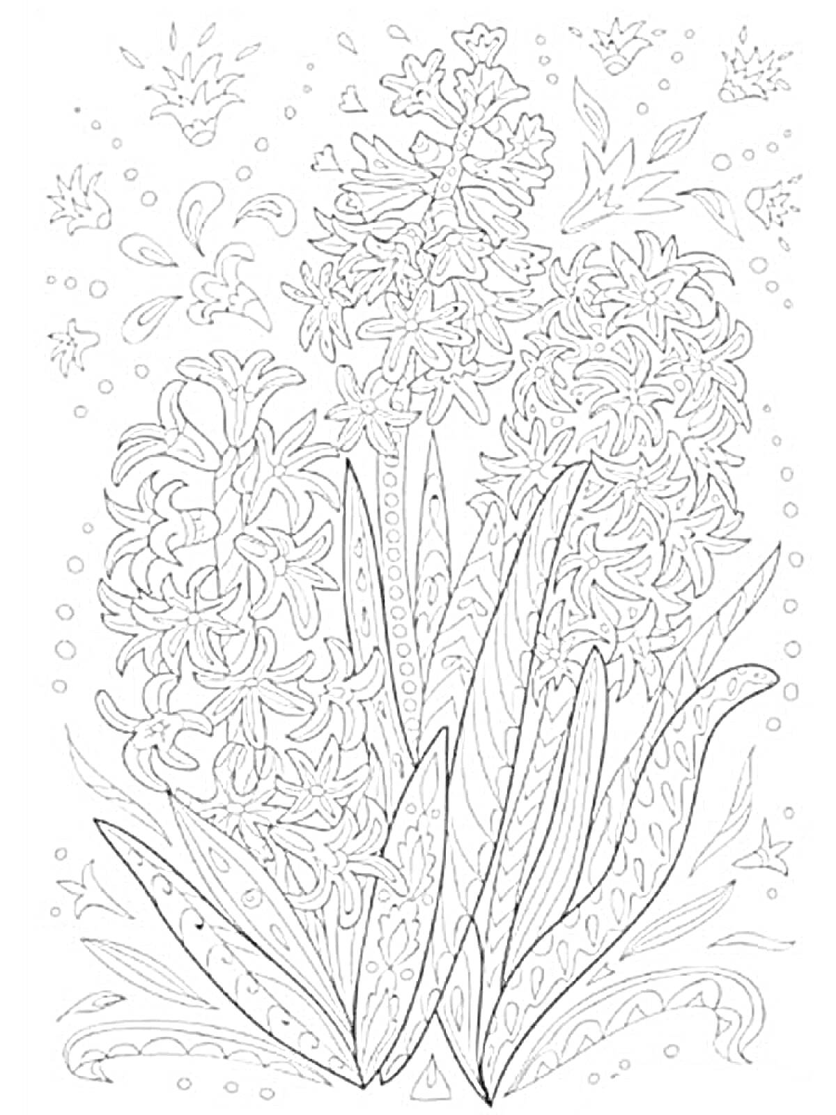 Раскраска Гиацинты с листьями и декоративными элементами