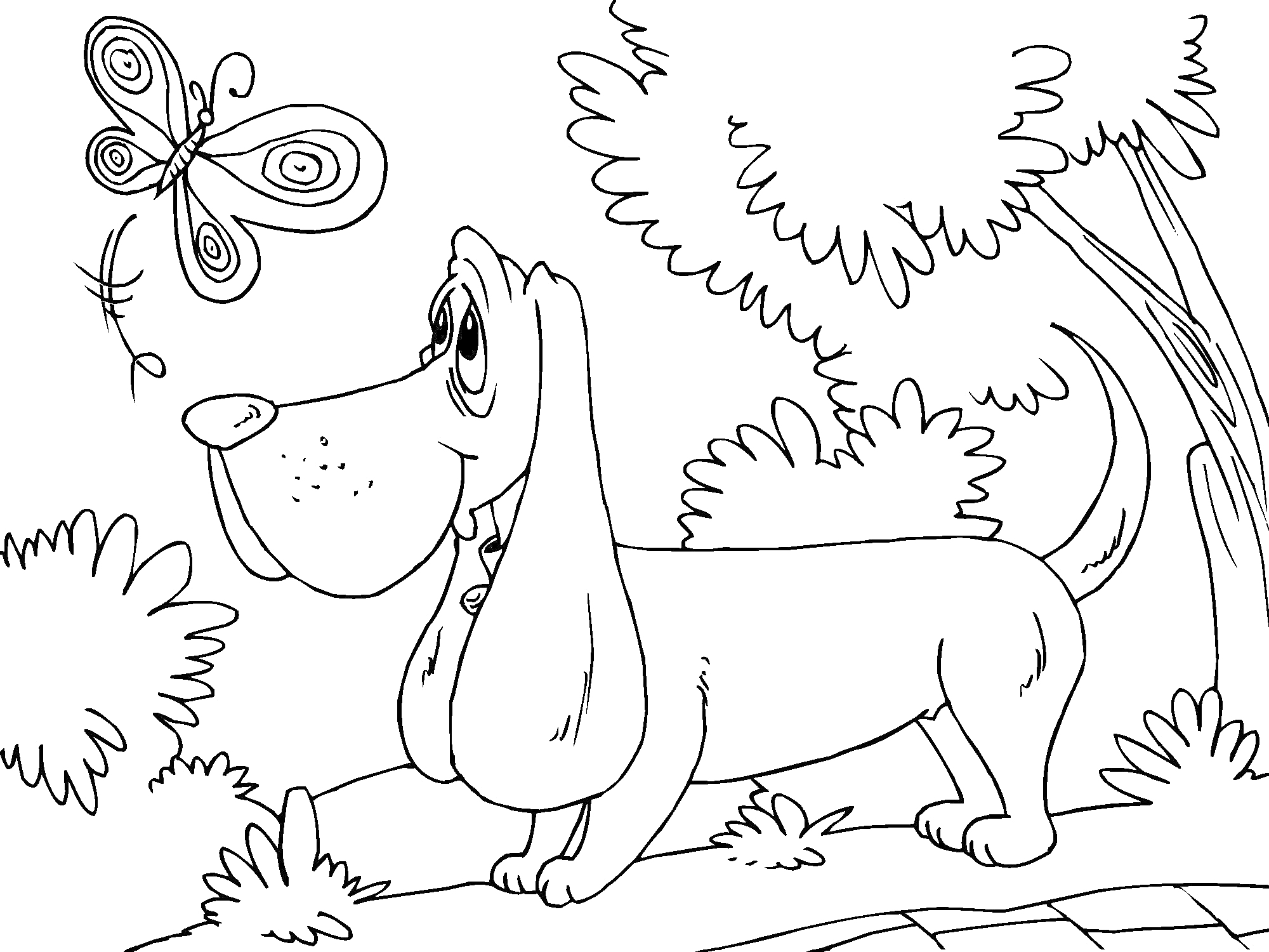 На раскраске изображено: Такса, Собака, Бабочка, Деревья, Кусты, Природа, Прогулка