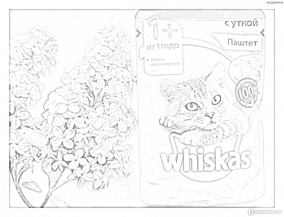 Раскраска Корм для кошек Whiskas с изображением кота и цветами