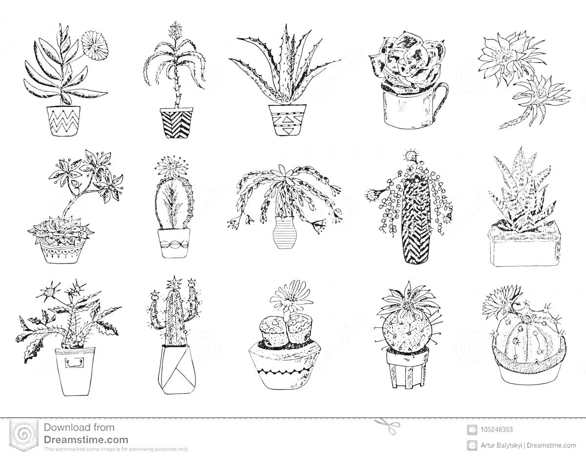 Раскраска Различные виды алоэ и кактусов в различных горшках с деталями, такими как узоры на горшках и мелкие растения рядом.