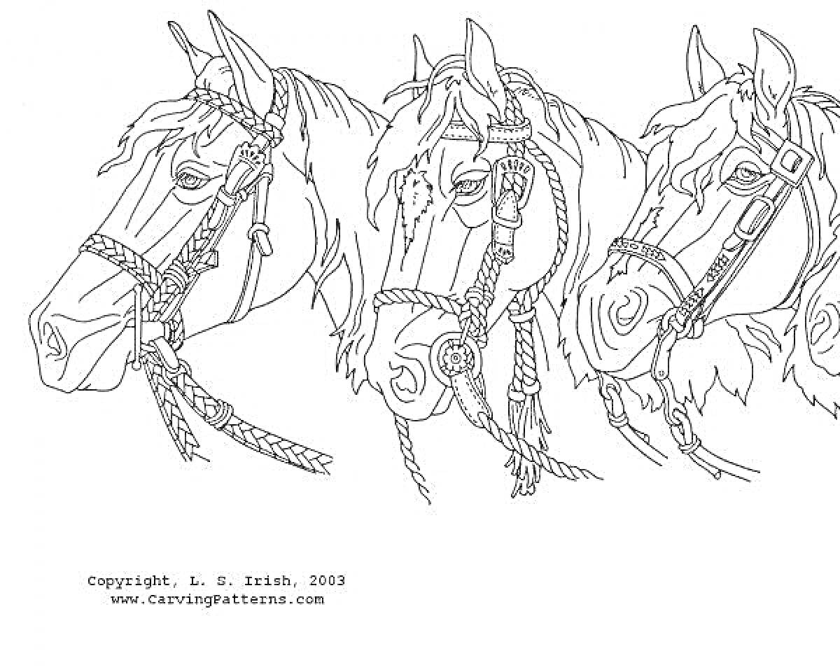 На раскраске изображено: Кони, Уздечка, Поводья, Три коня, Животные