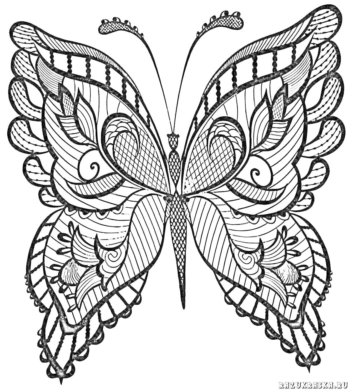 Раскраска Бабочка с орнаментом