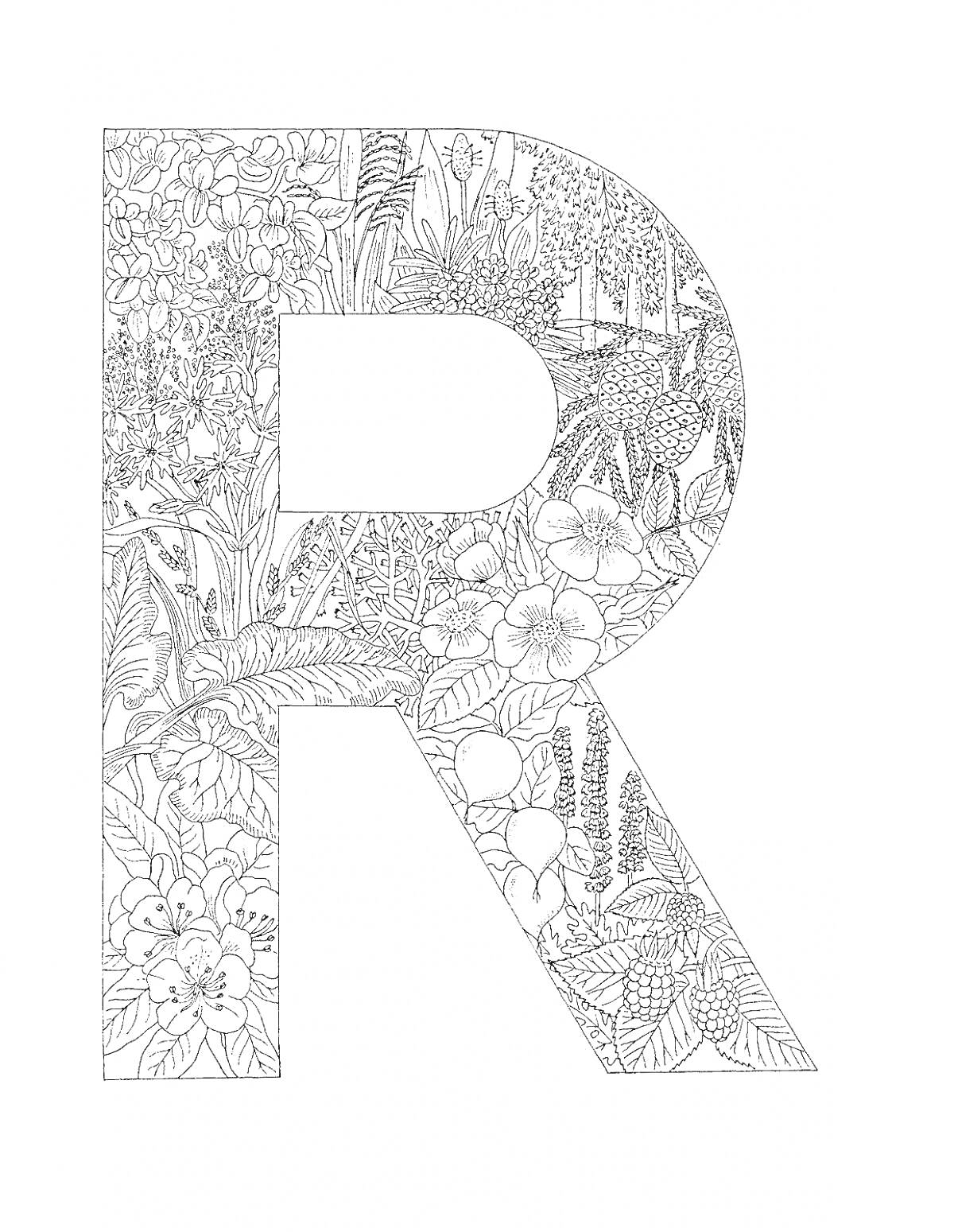 На раскраске изображено: Буквы, Антистресс, Цветы, Листья, Растения, Буква R