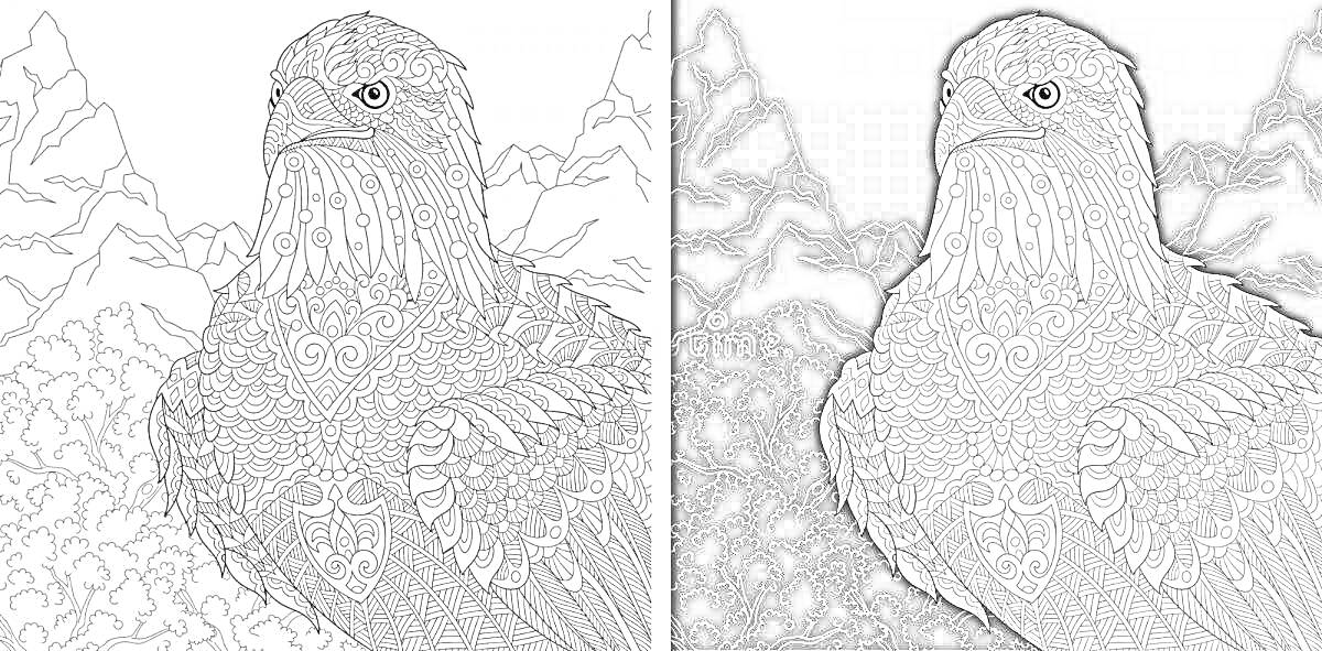 Раскраска Антистресс раскраска с орлом: орел, горы, детализированные узоры на перьях