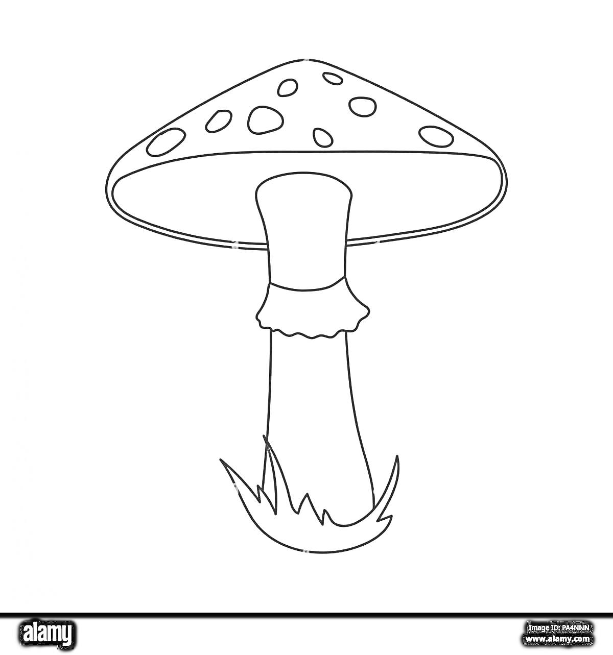 Раскраска Раскраска поганки: гриб с пятнистой шляпкой и травой у основания