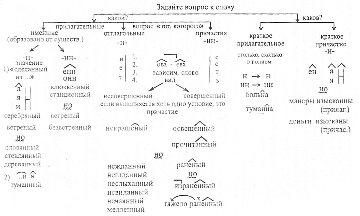 На раскраске изображено: Правописание, Н и НН, Части речи, Русский язык, Орфография