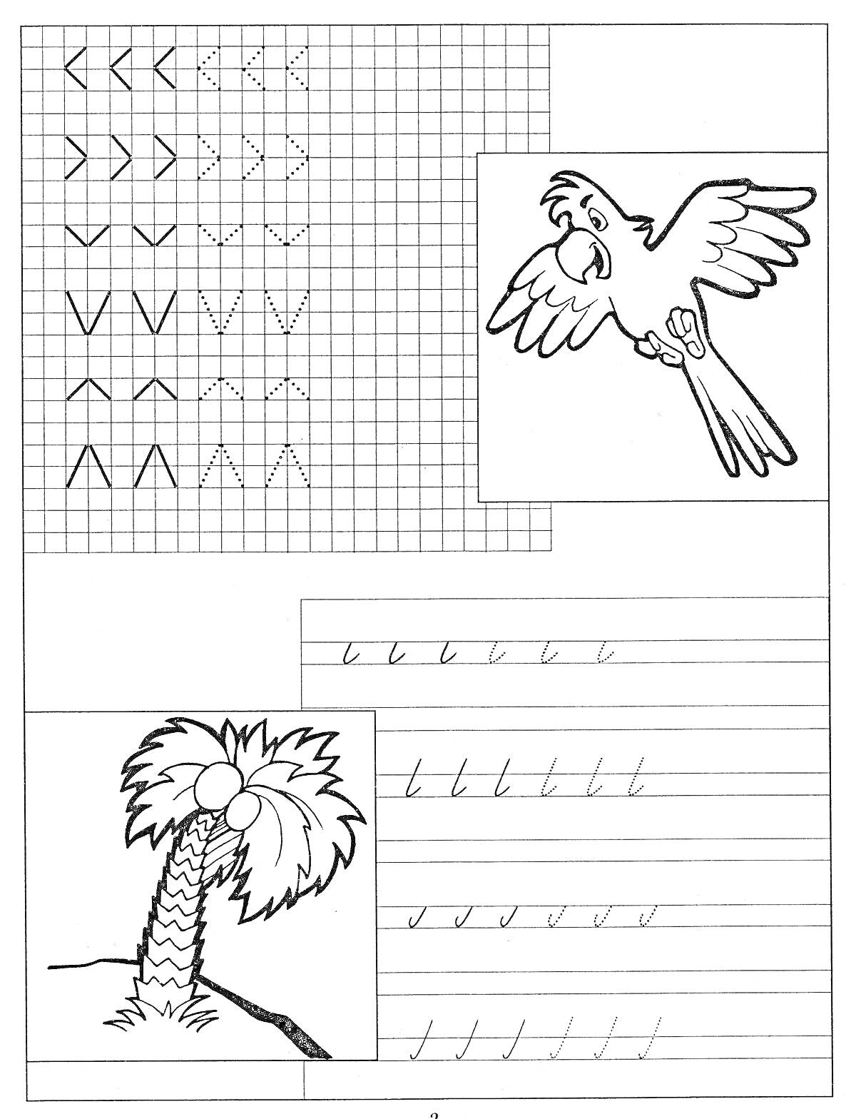 Обучение грамоте, прописывание букв и узоров, попугай, пальма